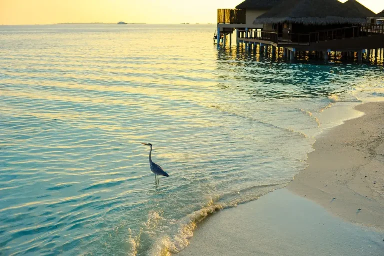 best luxury beachfront resorts in Australia per night
