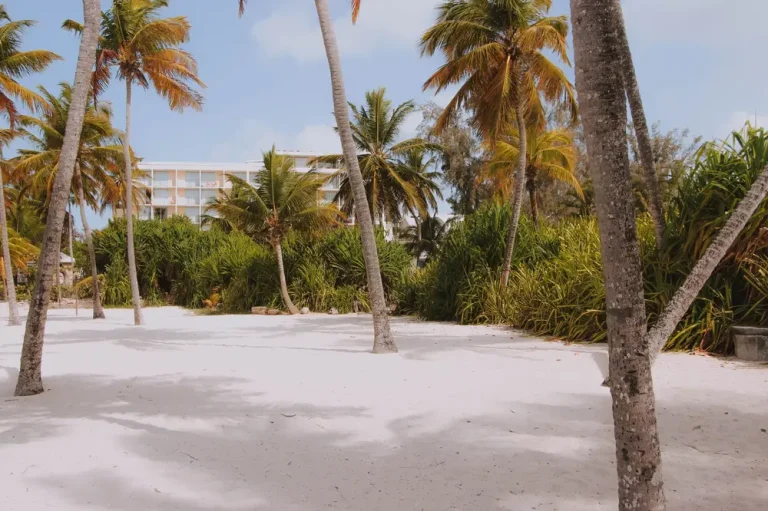 top all inclusive couples resorts in Dominican Republic review